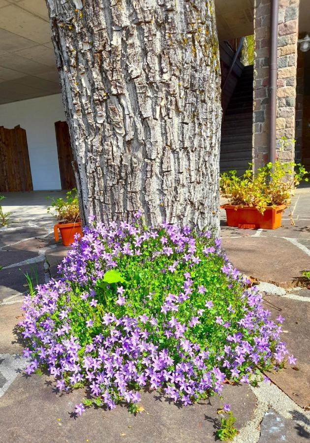 B&B Chalet Dolomiti Sant'Orsola Esterno foto